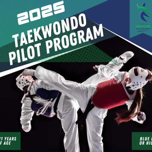 Taekwondo